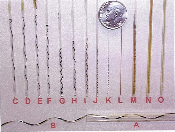 41586_2000_Article_BF35011139_Fig1_HTML